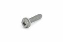 Originele flensbout met inwendige torx (M6X25)