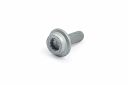 Originele inbusbout met poly-inbuskop (M8X25)