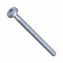 Originele inbusbout (M6X80)