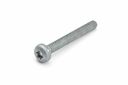 Originele inbusbout met platte kop (M8X65)