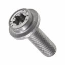 Originele flensbout met inwendige torx (M6X18)