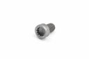 Originele platkopschroef met poly-inbus (M10X16)