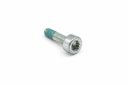 Originele inbus- bout (M8X30)