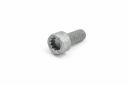 Originele inbusbout met poly-inbuskop (M8X20)