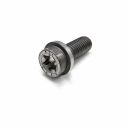Originele inbus- bout (combi) (M8X20)