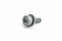Originele inbusbout met poly- inbuskop (combi) (M8X25)