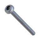 Originele platkopschroef met poly-inbus (M6X65)