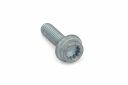 Originele poly-inbusflensbout (M10X32)
