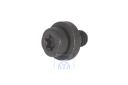 Volkswagen Torx-cilinderkopschroef M6x11,5