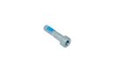 Originele cilinderkopbout met inwendige torx (M8X30)