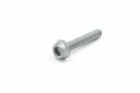 Originele inbuskraagbout met poly-inbuskop (M6X35)