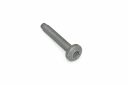 Originele inbusbout met platte kop (M9X55)