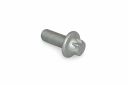 Originele zeskantbout (M10X1X25)