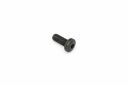Originele inbuspasbout (M10X25)
