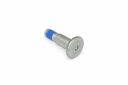 Originele pasbout met poly-inbuskop (M10X12X38)