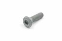 Originele poly-inbusbout (M12X1,25X42)