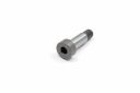 Originele pasbout (M8X30,5)