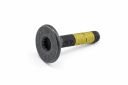 Originele platkopschroef met poly-inbus (M12X65)