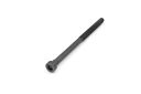 Originele cilinderkopbout (M12X209X110)