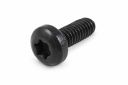 Originele inbusbout (M4X10)