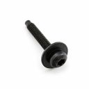 Originele inbusbout (combi) (M60X33)