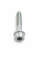 Originele inbusbout (M8X37)