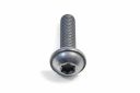 Originele flensbout met inwendige torx