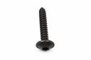 Originele inbusbout (4.2X25)