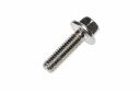 Originele tapeind met zeskant -W705310-S437 (M6 X 1.0+M6 X 25)