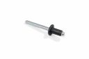 Originele popnagel W706460-S303 (6X10)