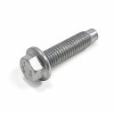 Originele zeskantbout -W721670-S450 (M12X35)