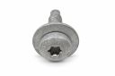 Originele zeskantbout W722392-S442 (M6X17)