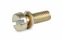 Originele inbusbout met ring