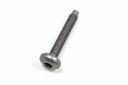 Originele combibout -W723010-S450 (M5X29)