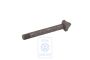 Volkswagen vergrendelbout asaandrijving M8x63,5