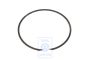 Volkswagen borgring automatische versnellingsbak - 1,7x129,3 mm
