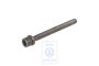 Volkswagen cilinderkopbout met veeltand M11x1,5x119 (AGZ, AMY, AES)