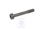 Volkswagen veeltandbout nokkenastandwiel M12x1,5LHx89 (BAD, ARR, AVY)