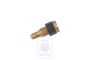 Volkswagen stationairsproeier 52,5 (31 PIC-6, 34 PIC-5)