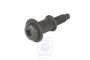 Volkswagen Torx-platkopschroef met geleidebus M6 (BWB, BMS)