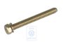 Volkswagen zeskantbout carburateur M5x44