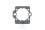 Volkswagen pakking inspuiteenheid (1F, RP, AAM)