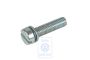 Volkswagen cilinderkopschroef met ring M5x0,75x20
