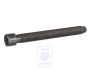 Volkswagen Passat B5 (3B) cilinderkopbout M11x1,5x96 (ADR, APT, ARG)