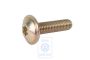 Volkswagen LT Mk2 Torx-bolkopschroef kleppendeksel M8x30 (AGK, ATA, AUH)