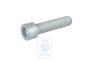 Volkswagen LT Mk2 cilinderbout trillingsdemper M12x50 (AGK, ATA, AUH)
