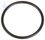 Volkswagen afdichtring olietemperatuurregelaar (DX, KT, EG)