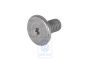 Volkswagen New Beetle (9C) binnen-Torx-schroef spiegelkap M5x11