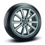Volkswagen T-Cross, Taigo winterset