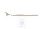 Volkswagen Passat B5 (3B) instaplijst - links, lichtbeige